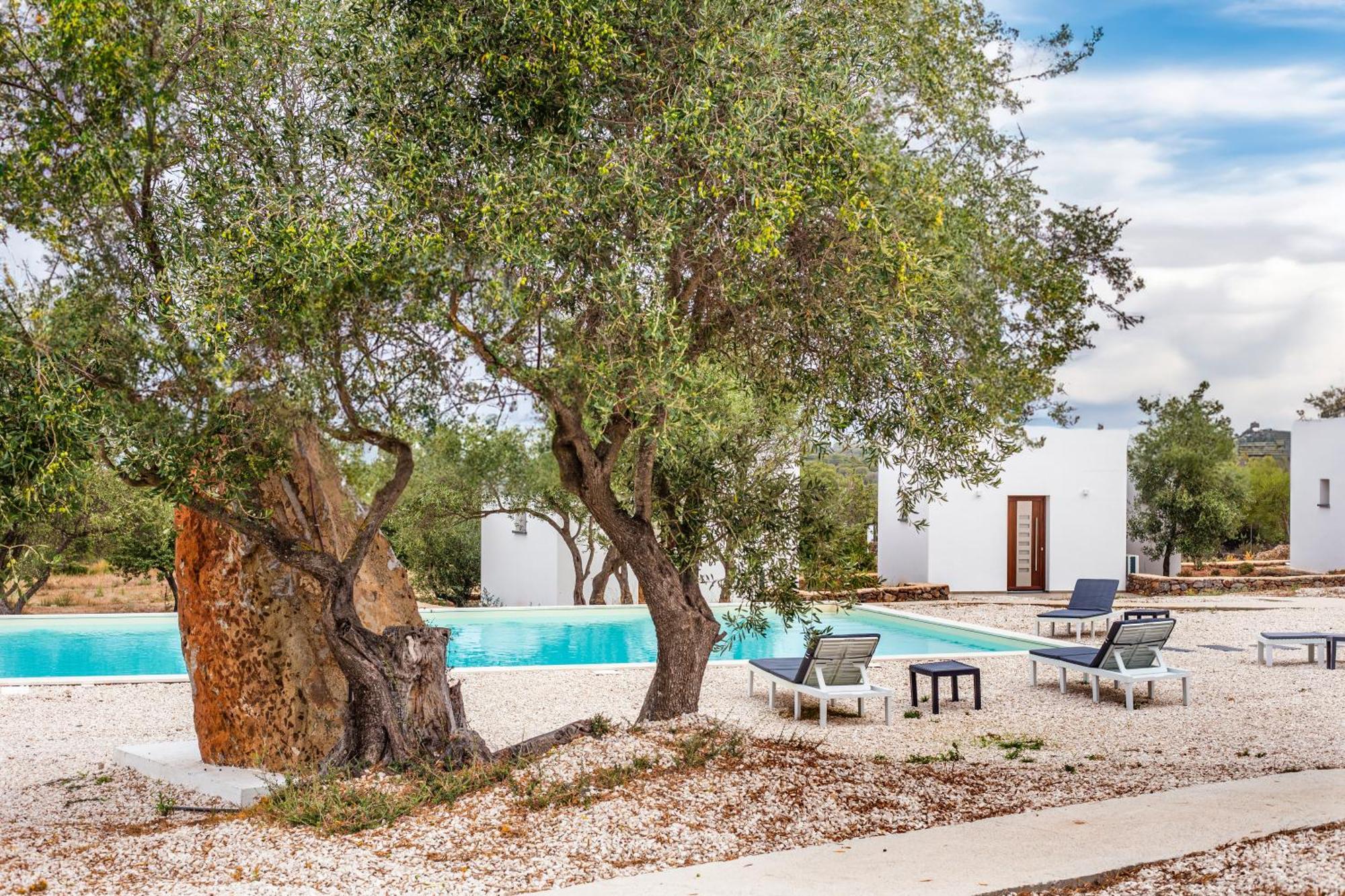 Farmhouse La Croisette - Agriturismo ドルガーリ エクステリア 写真