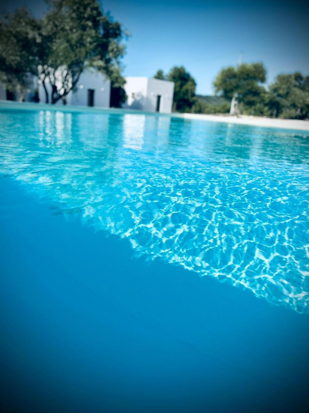 Farmhouse La Croisette - Agriturismo ドルガーリ エクステリア 写真