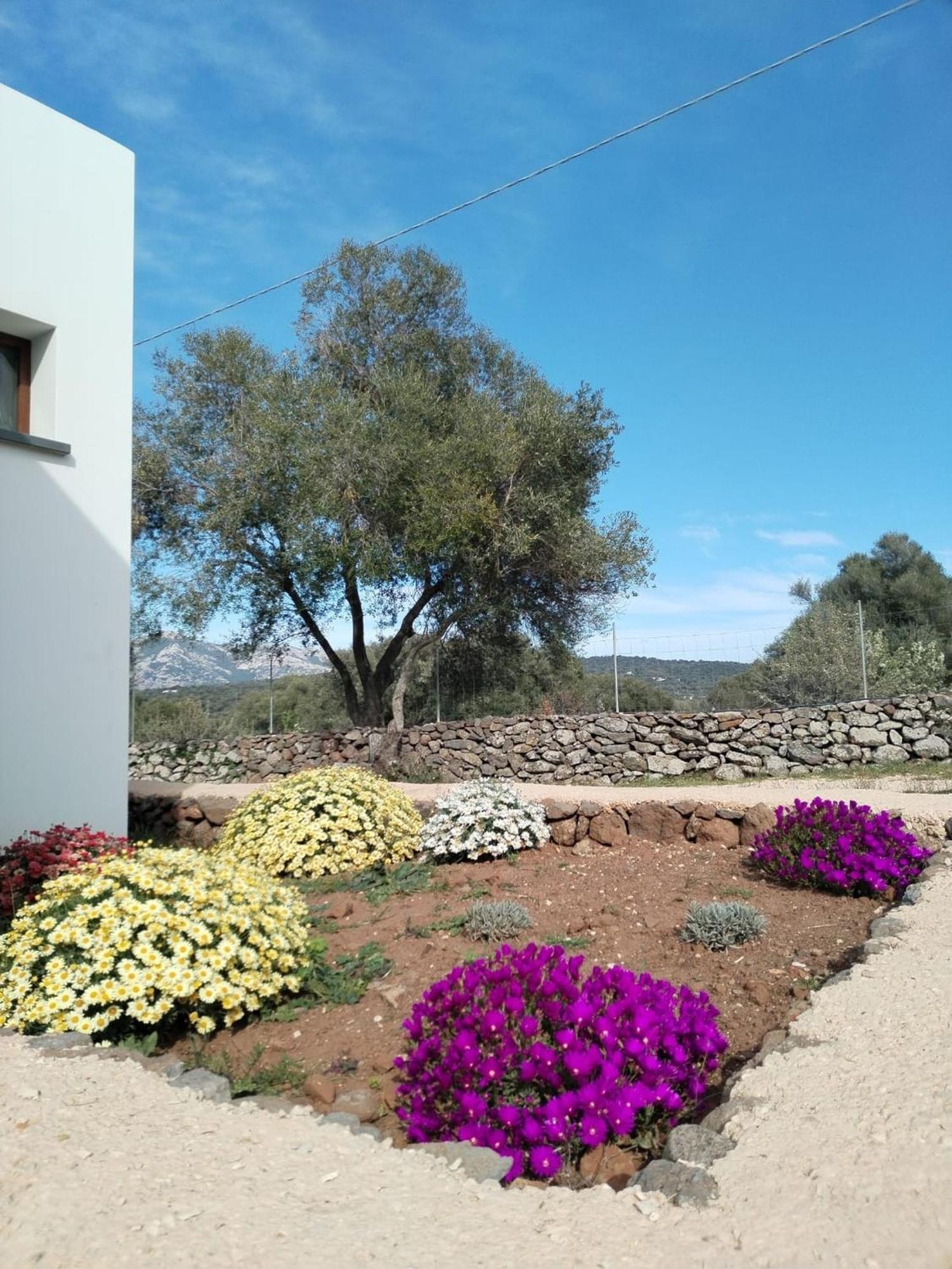Farmhouse La Croisette - Agriturismo ドルガーリ エクステリア 写真